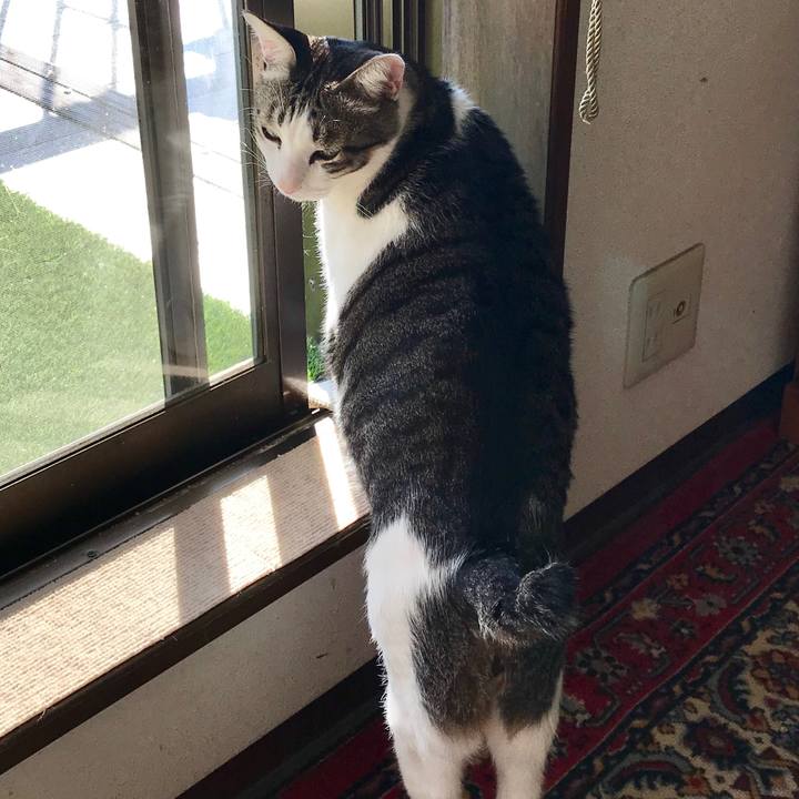 16332b84 7803 4085 9fb3 2977b17d449b 1547882117694