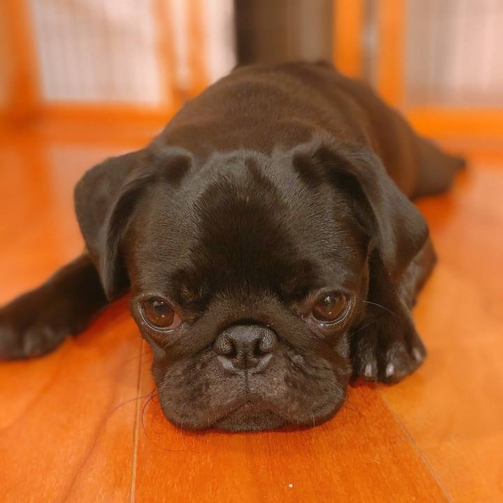 16335185 979f 4412 bfcc 6ff2caf39a19 1604555178336