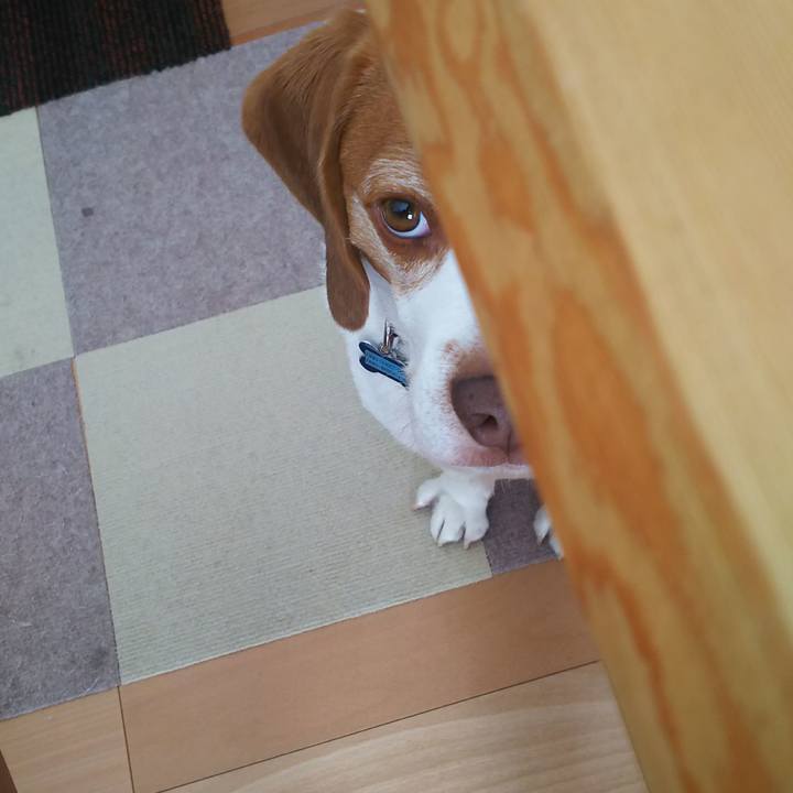 16335cf0 9e8f 48d8 b8de 125b619b650f 1632023007870