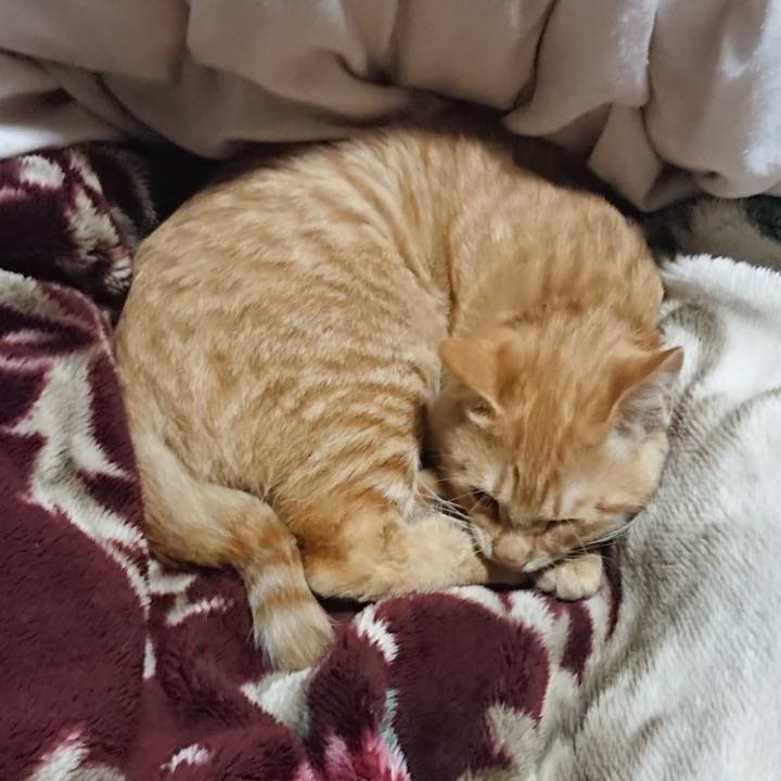 16336757 c7db 44d9 ba1c 4c874ff9ce0b 1635768625279