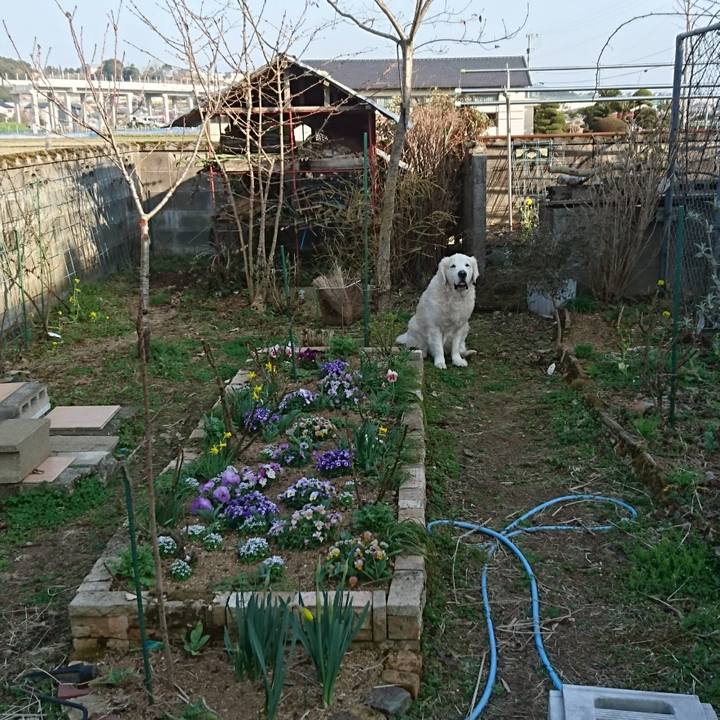 1633708f 3efd 4e4f 8398 24940252cbfa 1520753931554