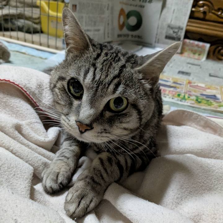 163377a8 e2b1 4c02 ac31 7552adb6b3ab 1743081819268