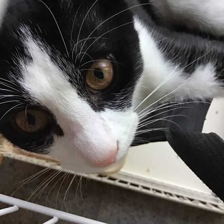 163377e3 b5ae 49ad b916 33f177a958bd 1632737386051