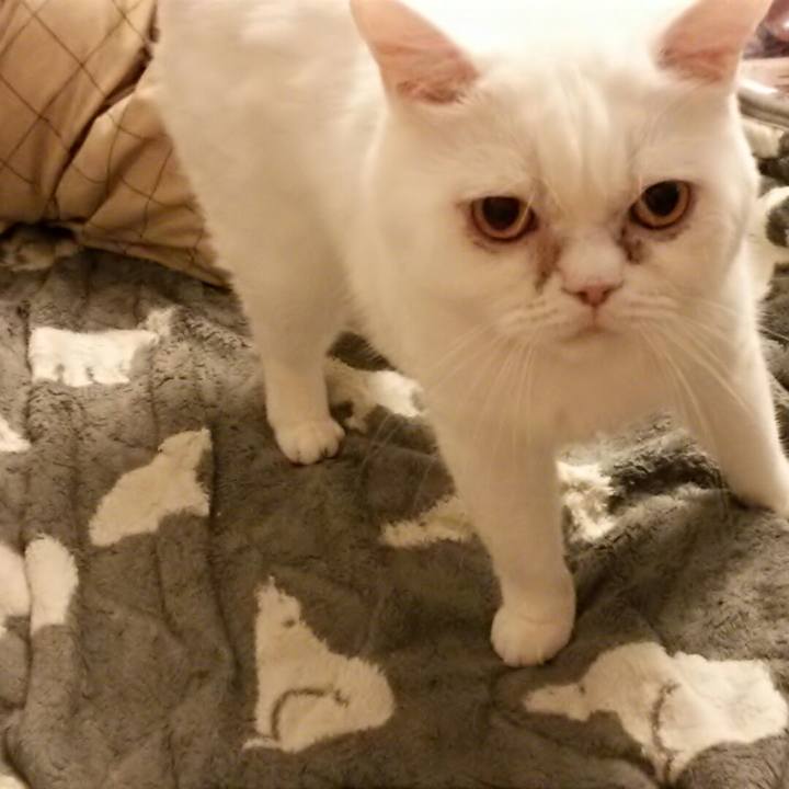 1633abed 5236 4af6 ad32 a10403b4d677 1529585875429