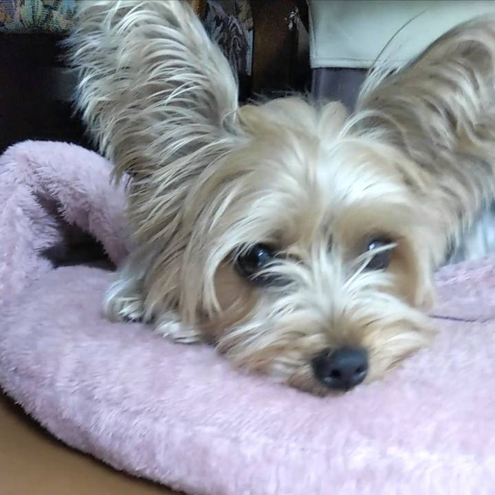 1633b260 71a5 44ba add0 c52b9b03fd65 1569904015054