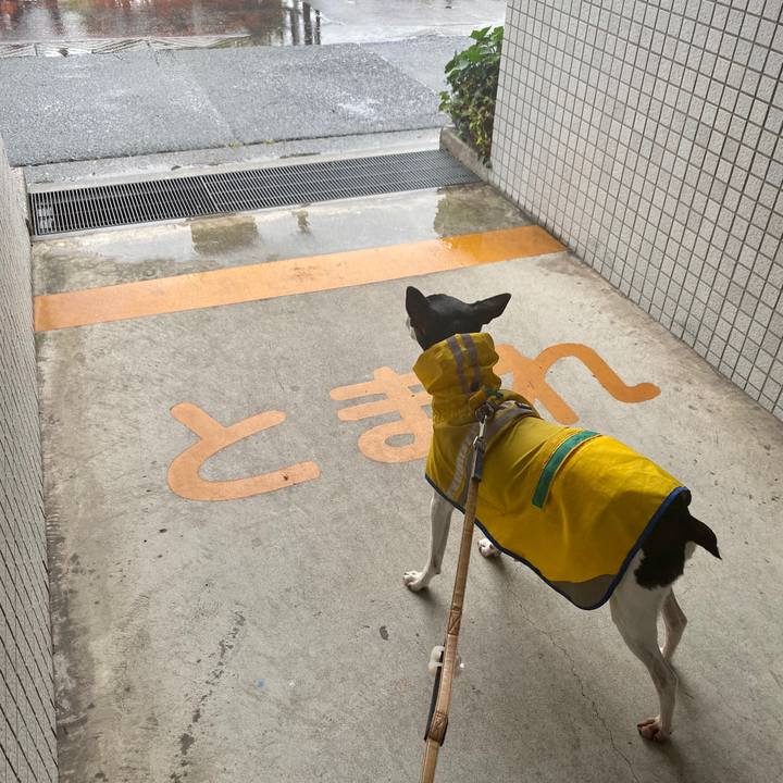 1633ca7f 964a 4e62 b9e5 335d671ca5a1 1591913914724