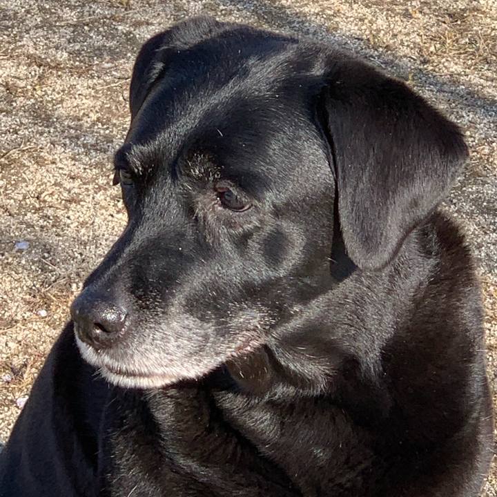 1633db99 f95f 40ac af6b 480087741cfd 1555114832554