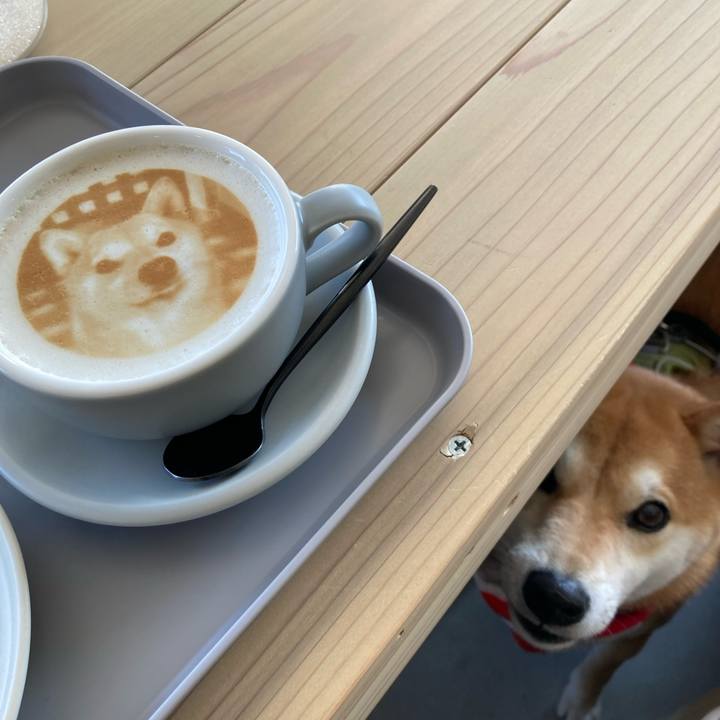 16341939 f991 41c8 9f95 1958657a470a 1644832488198