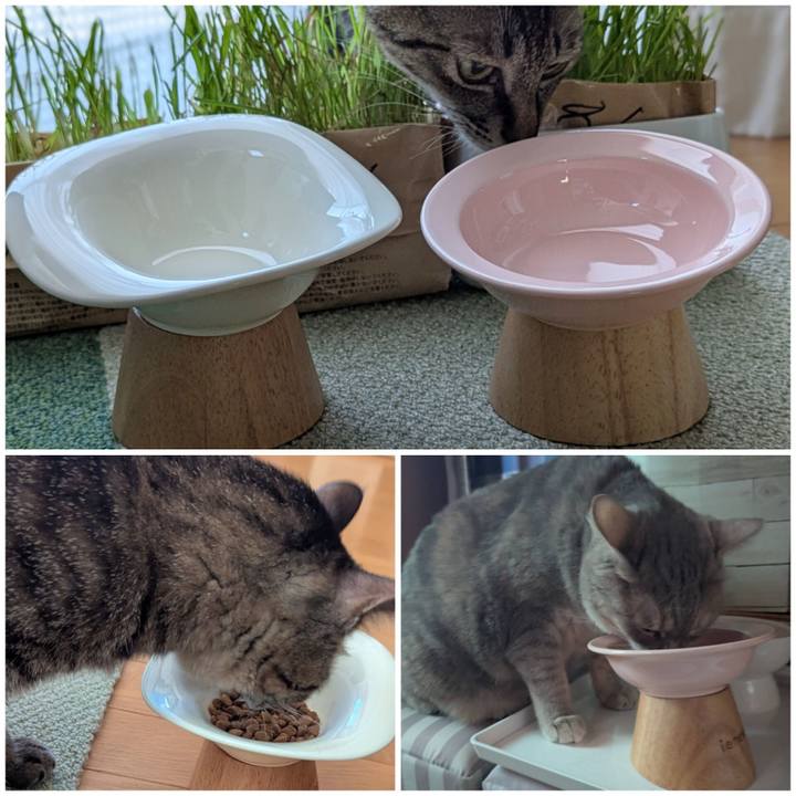 1634335d d6cf 4d7c b951 d03d386a49c1 1755340182455