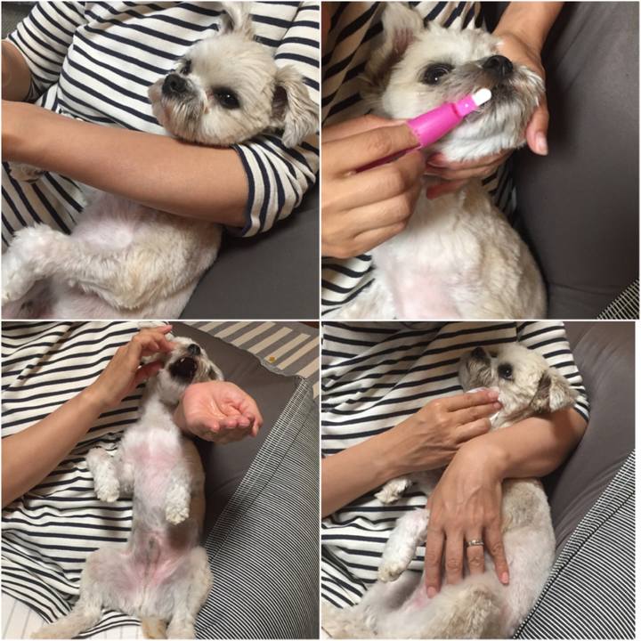 16343438 95ba 4bd1 b34d 87ed46fd80e4 1525005133977