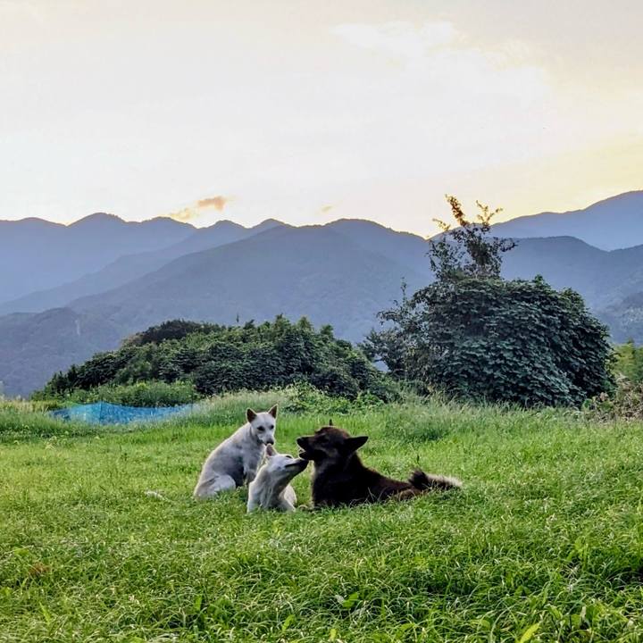 163439f7 88ce 45a0 957a 8c32cfb25f2a 1758014216190