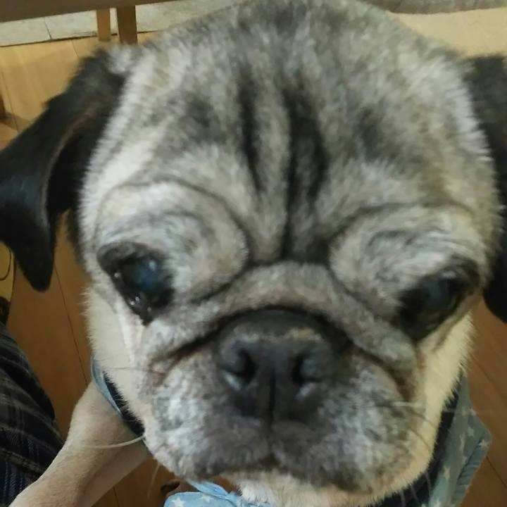 16344694 c5cc 4b0b b12c fd56356c55e5 1515645410187