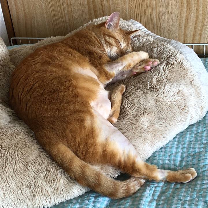 16344b3e b082 4172 af8c d879d664f897 1687937572657