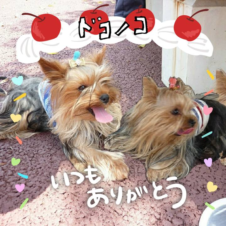 163495b7 7cd6 4056 a79b 9e700bb2f31a 1685938339097