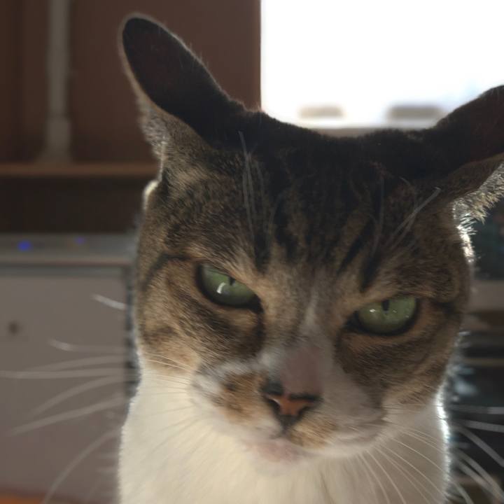 16349aa6 f702 4c6a a7f9 286fbfdf9757 1542936713643