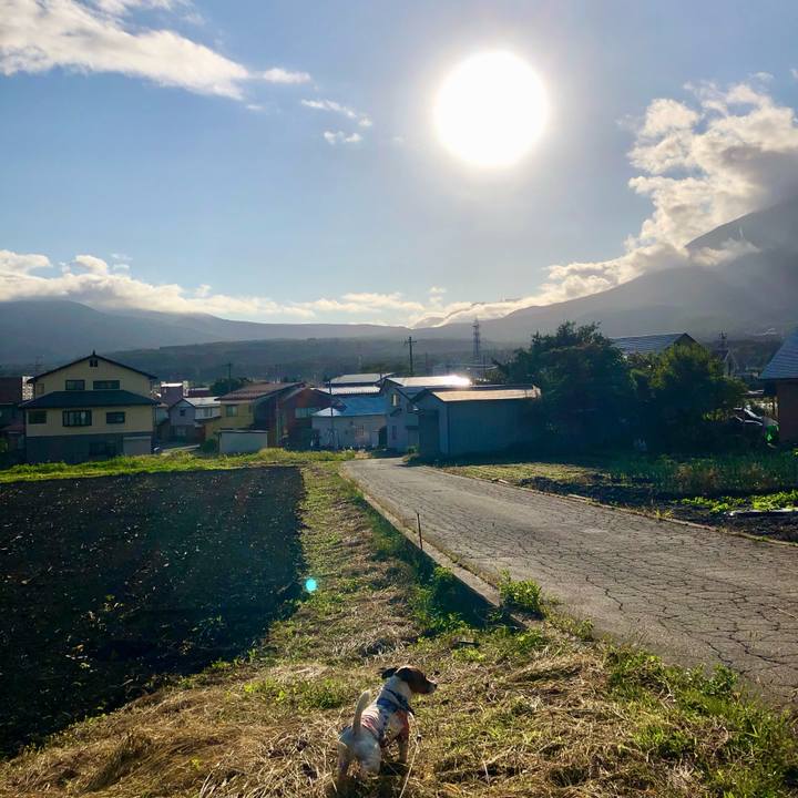 1634a44d d563 465e 8581 a05c5ff4668c 1601280533875