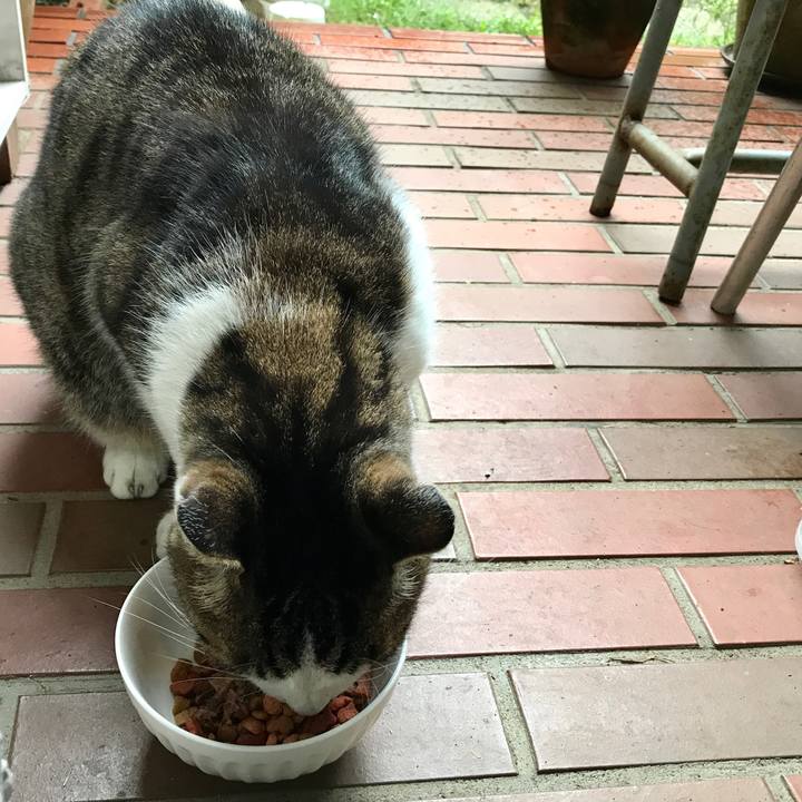 1634af58 b30c 4acc aa75 a61ae917d605 1508474965302