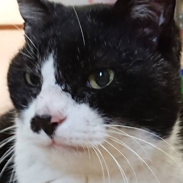 1634bb3d 428d 4981 96d8 84d25d896ee4 1668815745119