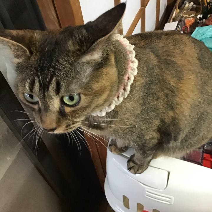 1634c56d df51 4fb4 94e2 538d5945cf91 1688811719313