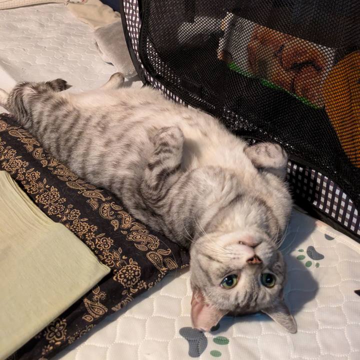 1634d859 06f2 4570 9a10 01d7ce6796e9 1760635933359