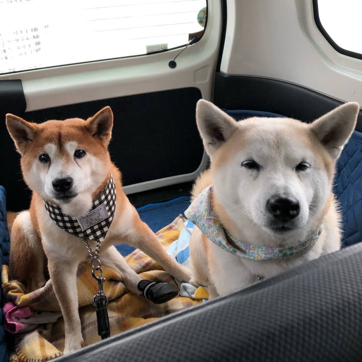 1635040d f557 4271 b7e3 1ec96a79c70a 1577660394863