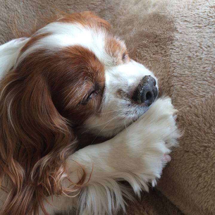 16356513 9854 4441 969a c3e7e111c955 1597241460188