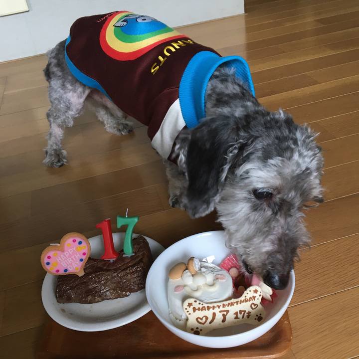 1635774f 510c 4b7a b77b 6cdd0483571c 1646982015998