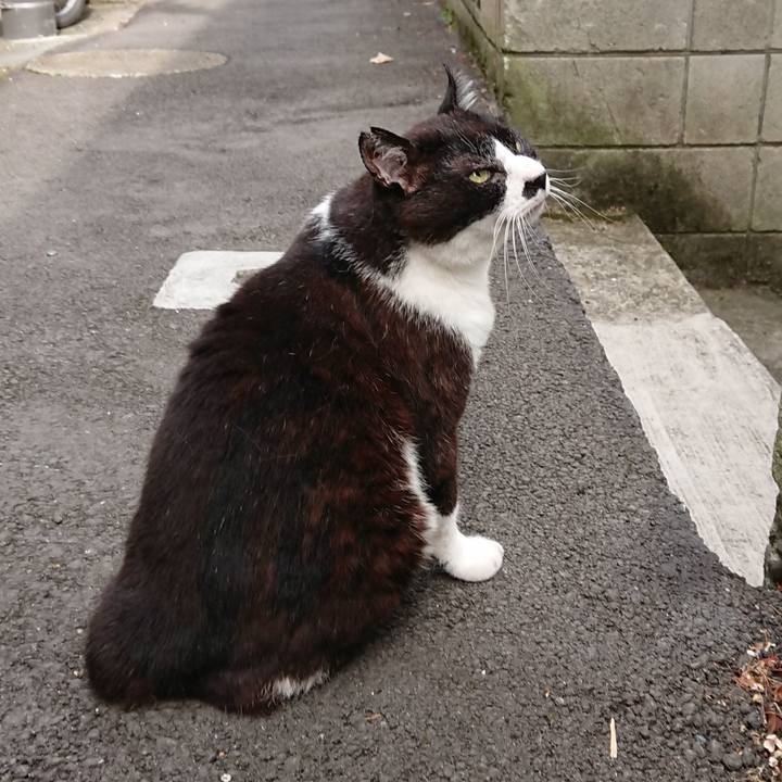 16358baf 79e1 4589 8696 f24dcfb6fe40 1689984542556