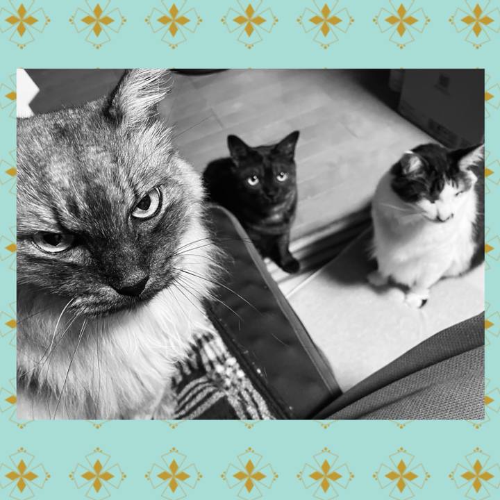 163591a0 a764 45fc 9922 15e2363e6c9a 1736585546150