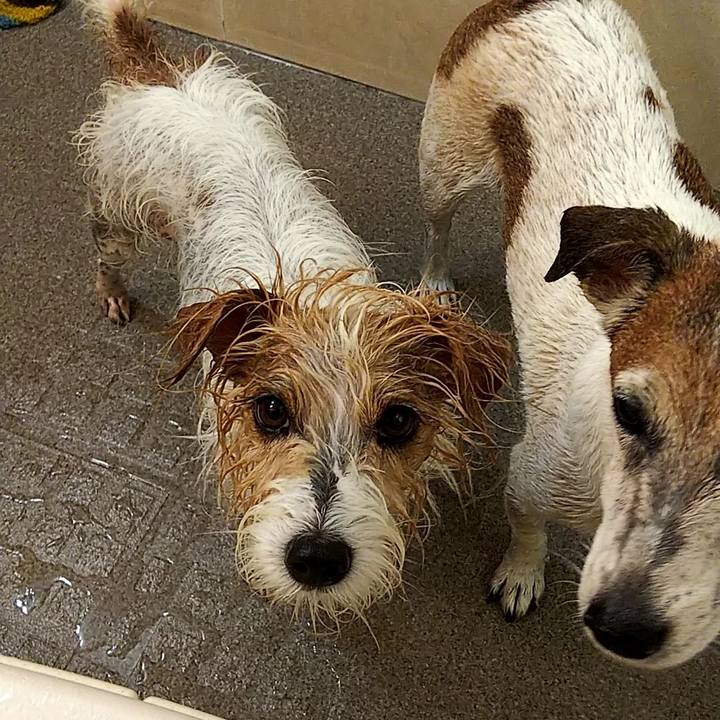 1635b01d c78f 4a63 9606 92589ac131b9 1531062320549