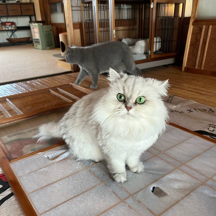 1635b481 826d 409d 9605 dbc0622998da 1670726491536