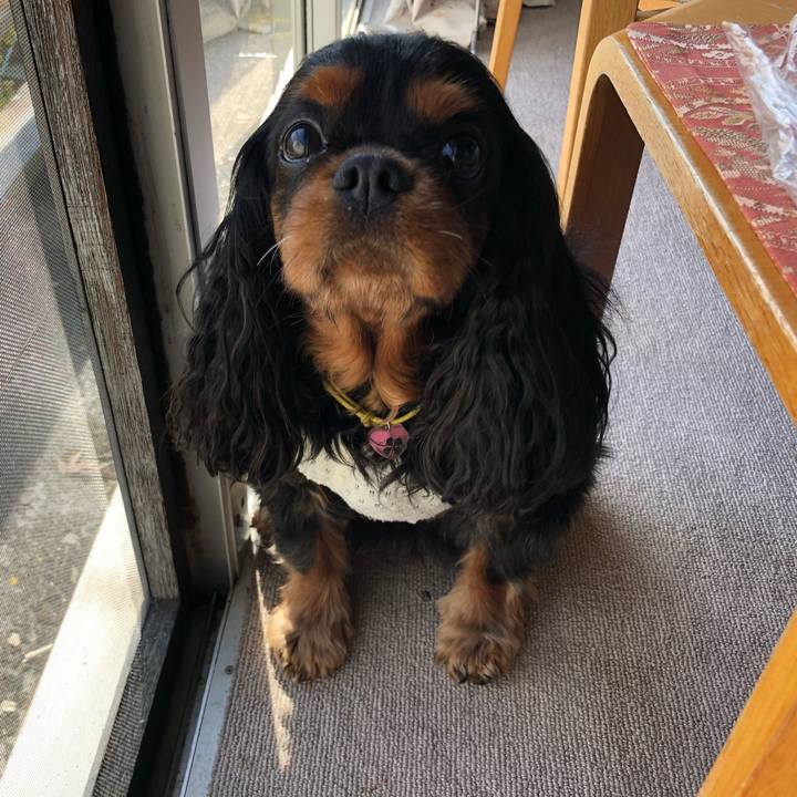 1635bc78 6978 4565 bd4b 3eb50c21234d 1529588783241