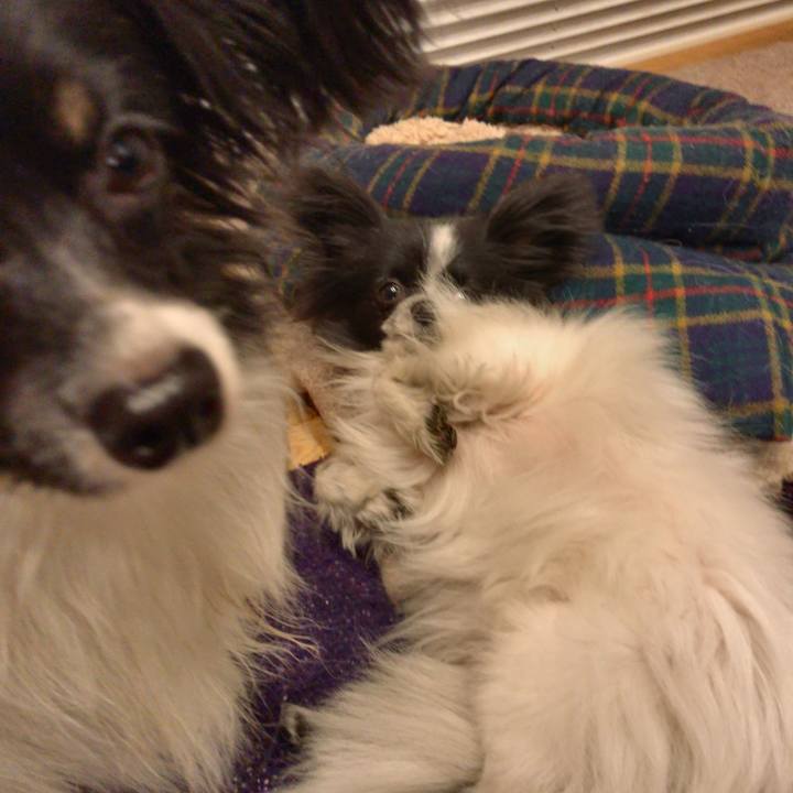 16363f9d 00eb 4035 a2a3 1f608c21f2c8 1514462681744