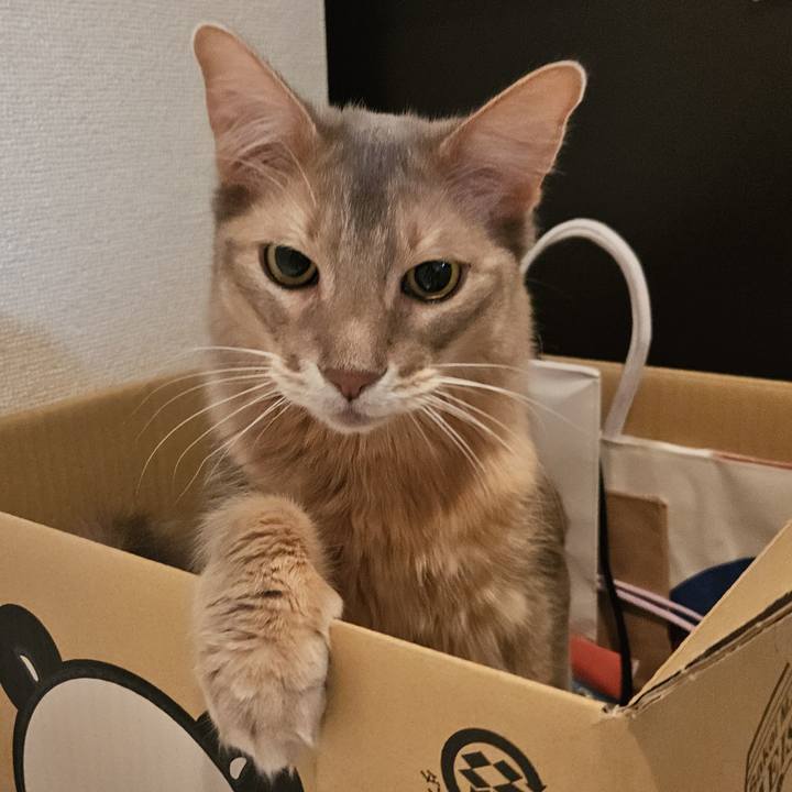 16364a59 dd09 419b 89e7 eb3a714e1983 1734402371886