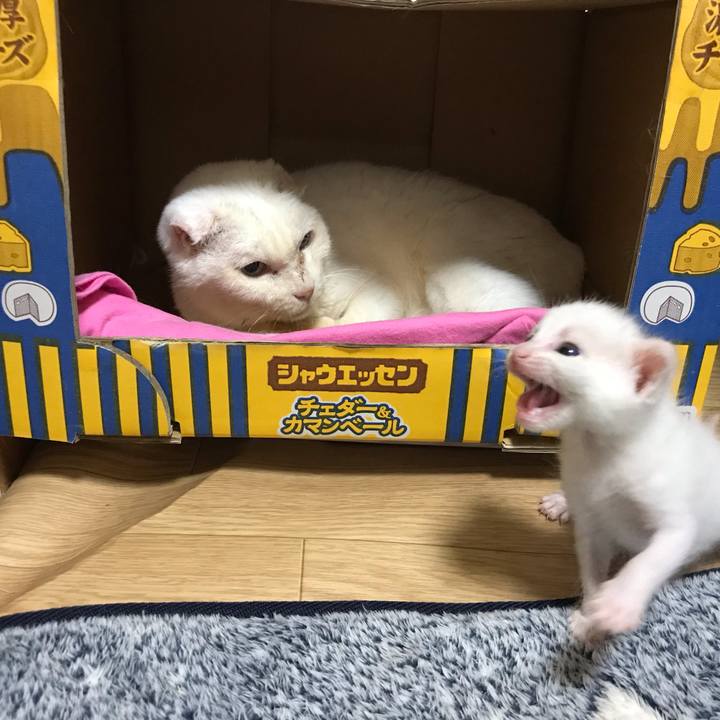 16367ed6 5326 4f19 a96f 84874ef6a687 1590408585828