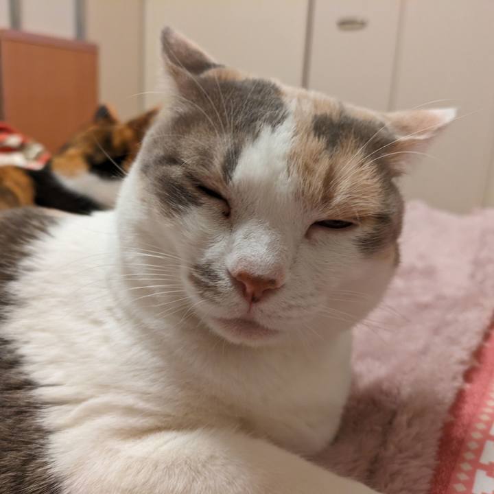 163696af 9060 43c3 ab15 4f753c0dac51 1709700284485