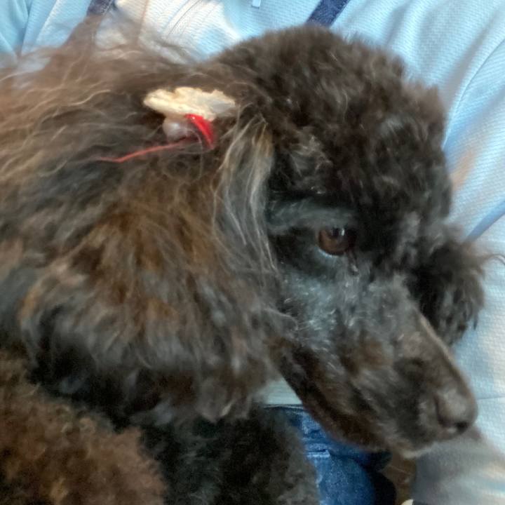 1636ae5f 5898 42a8 91bd 258bf57e7c47 1622358893604