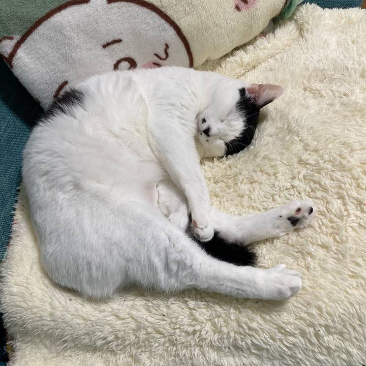 1636c746 3d2f 4f42 b71a c69e04bfd422 1762862382459