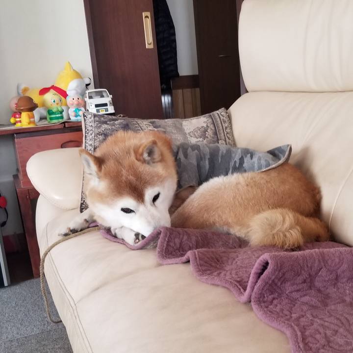 1636cb5c 44ef 4b8f a312 79a4e4fcd0c6 1676697549733