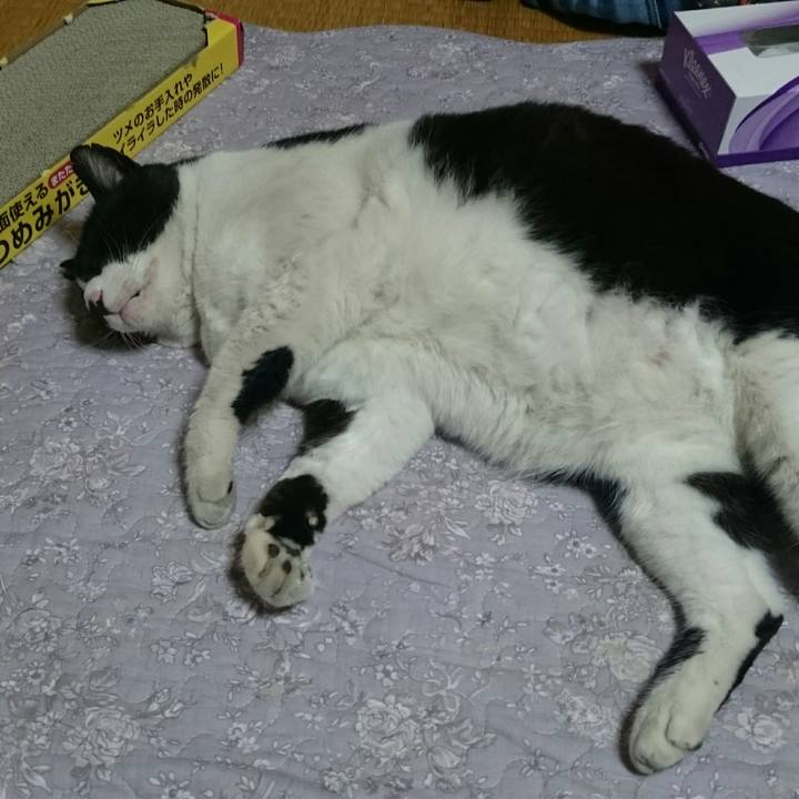 1637102d f58e 4569 adc9 46fd4e769b28 1522839794397