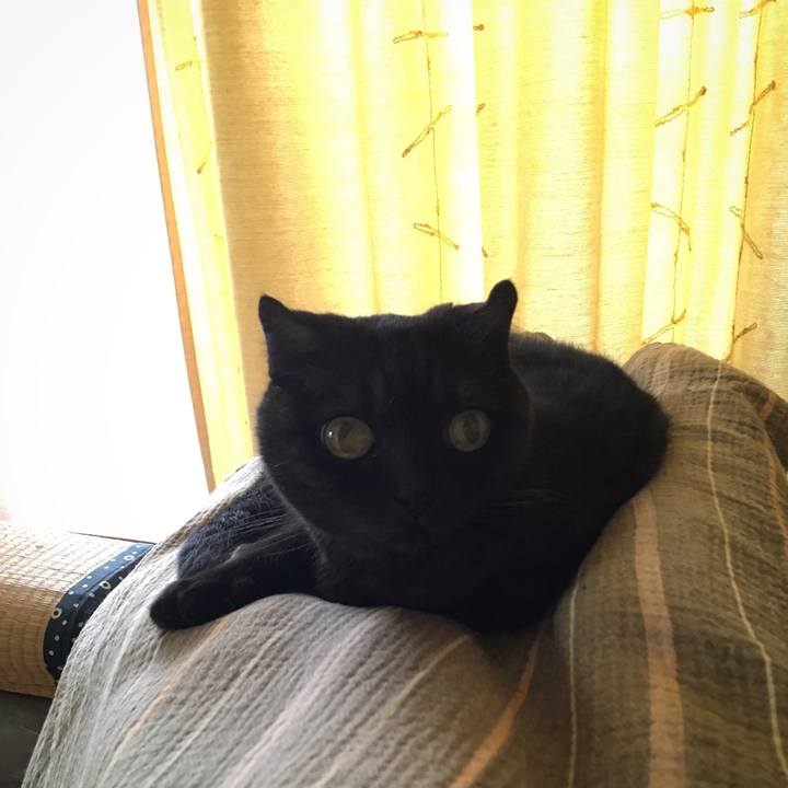 16371b0b 2007 445a 9856 70c535a3303f 1533006835642