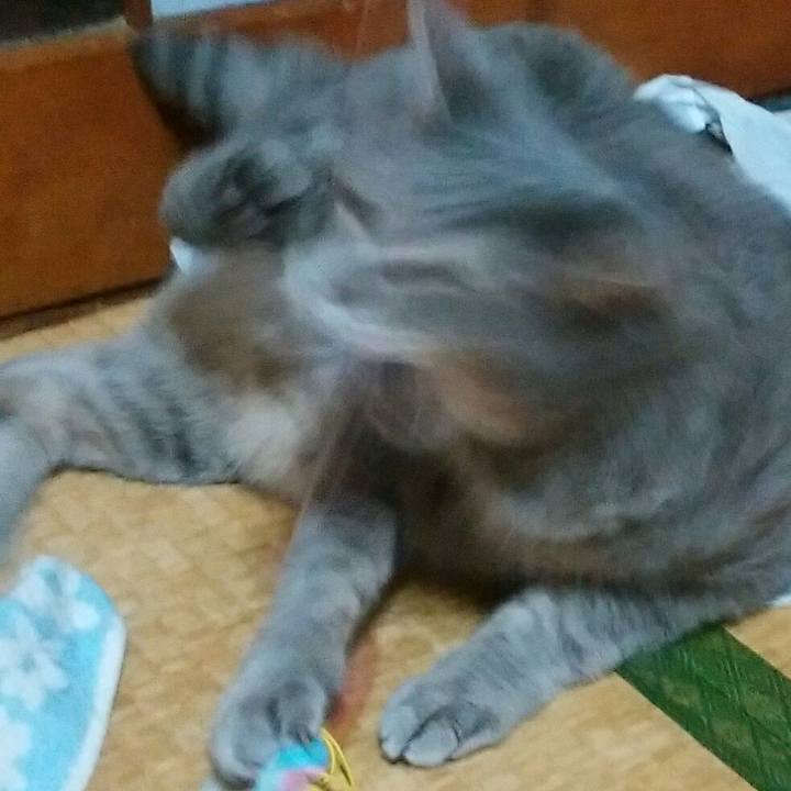 16375ea9 6c20 4796 bb35 5bb63c702dc2 1534858477251