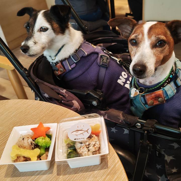 1637966a 0a7d 438f 87ca 0e971f23723b 1746510780541