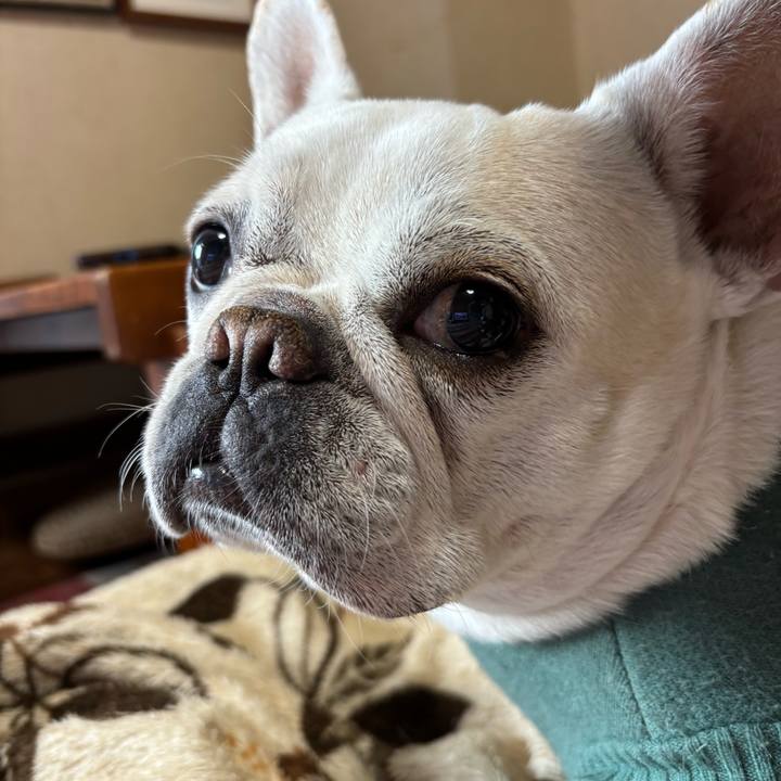 1637984b a1f6 4db7 88db c7c806c16602 1770850582129