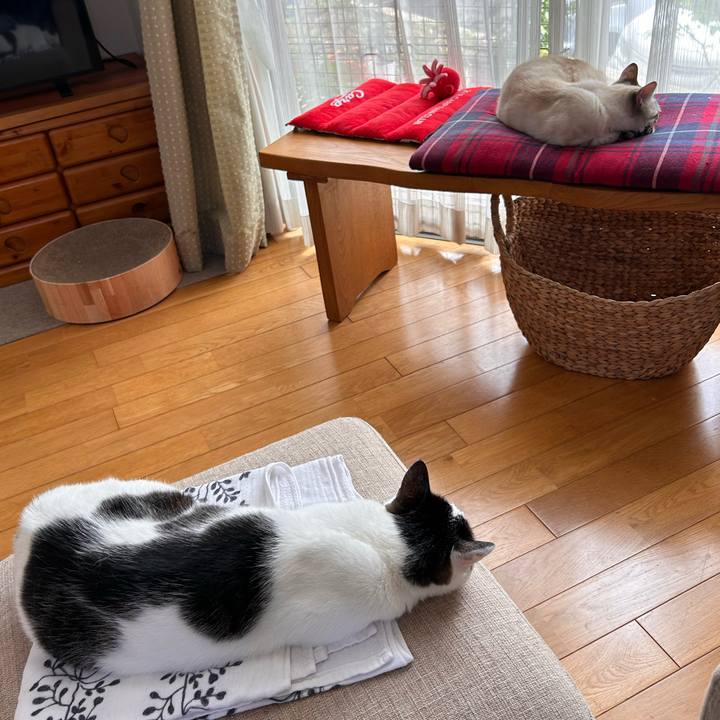 1637a097 718a 4a80 8373 639322f273aa 1749621919572