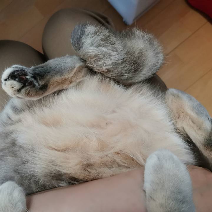 1637c435 9b7a 4ee3 8c50 8aae6adb5cc5 1598239546107