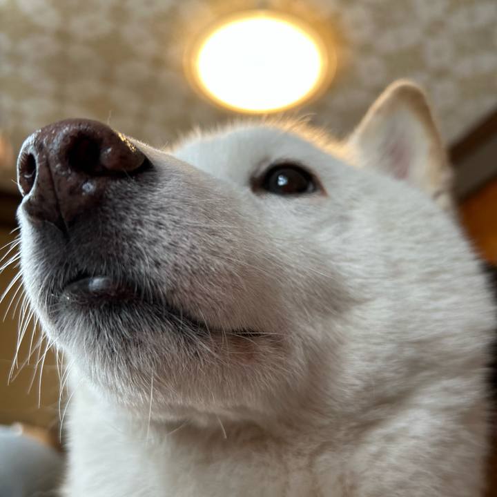 1637d9b2 25a6 4293 8476 81a25b597678 1741993602779