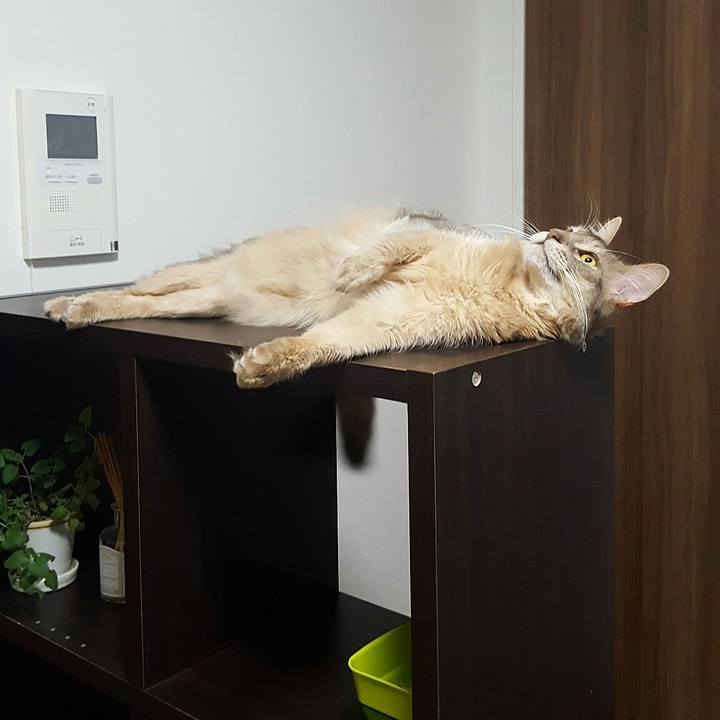 16383da9 0354 4d88 a312 81aefa456202 1559046230044