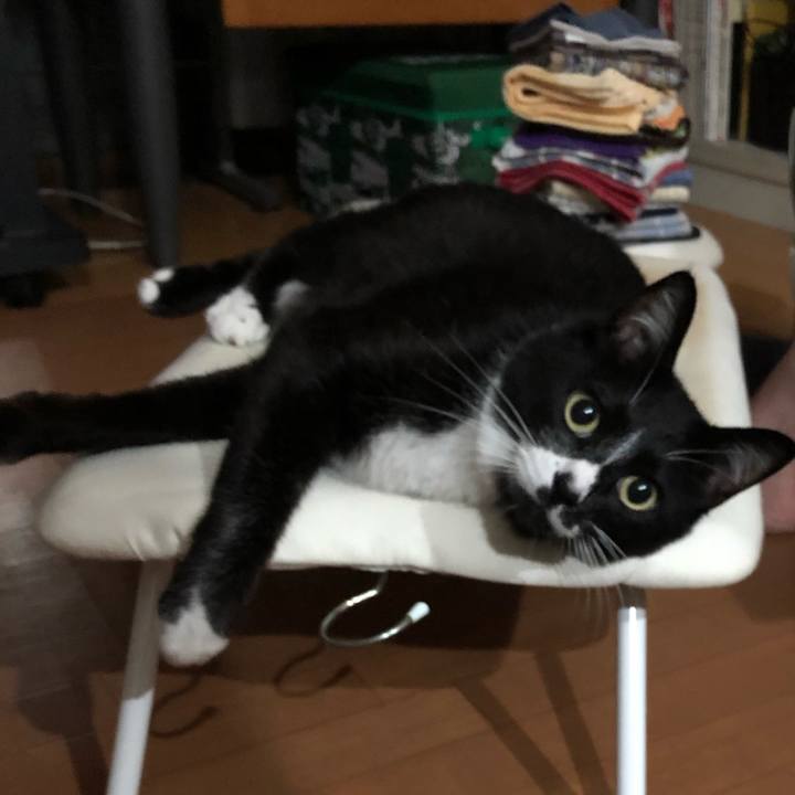 16386086 a32e 4c37 876d f11f74a04cef 1561952728469