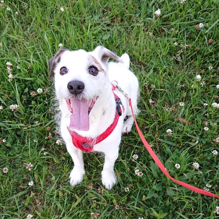 163879a8 a06d 43c7 8704 cc7e5bbcb02e 1528158173131